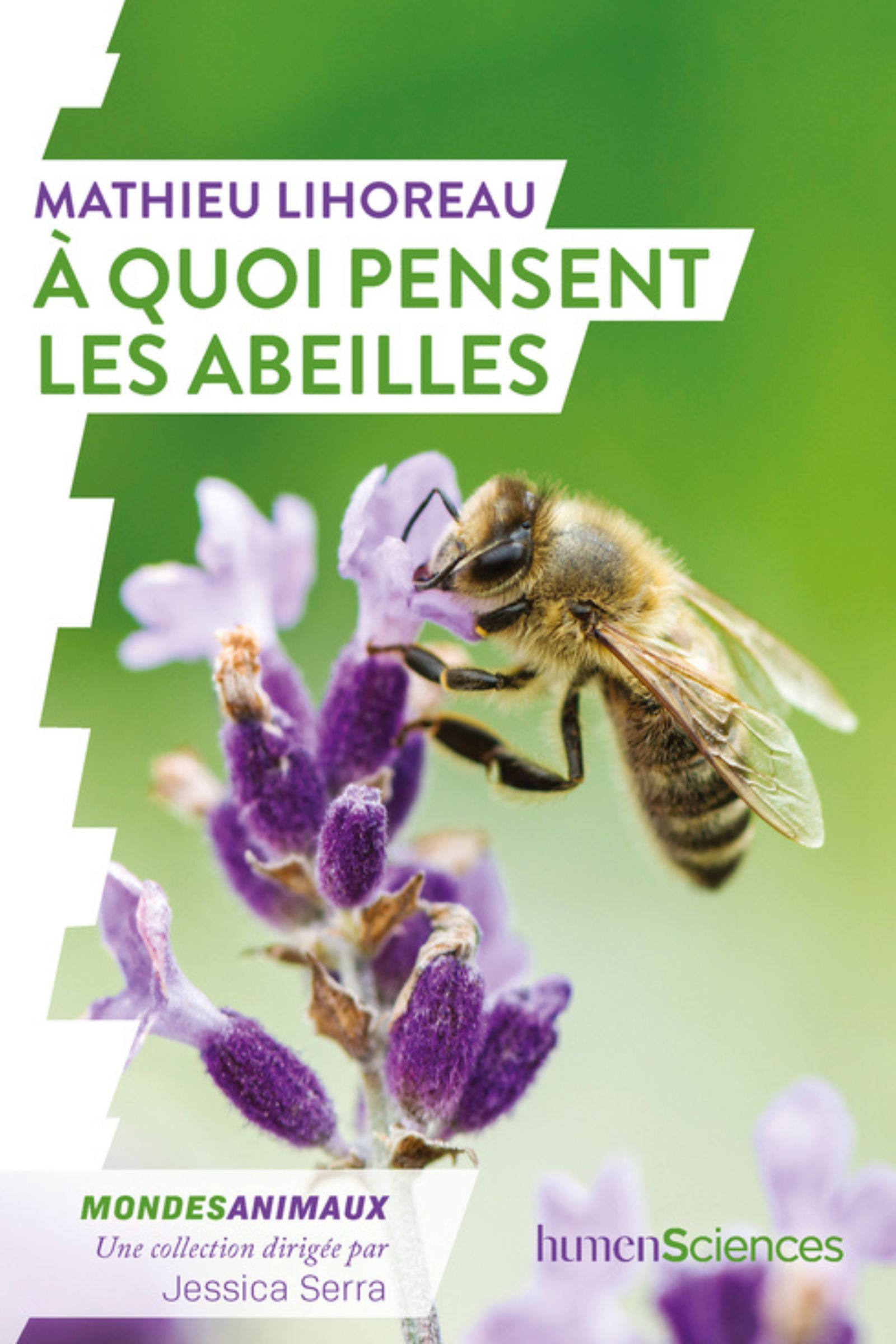 A quoi pensent les abeilles