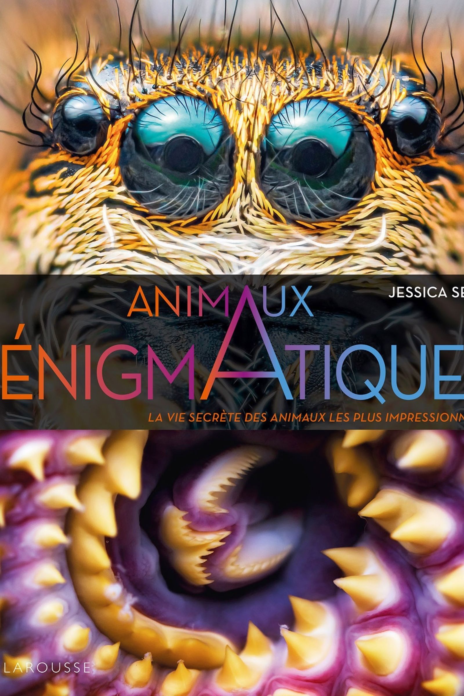 Animaux énigmatique