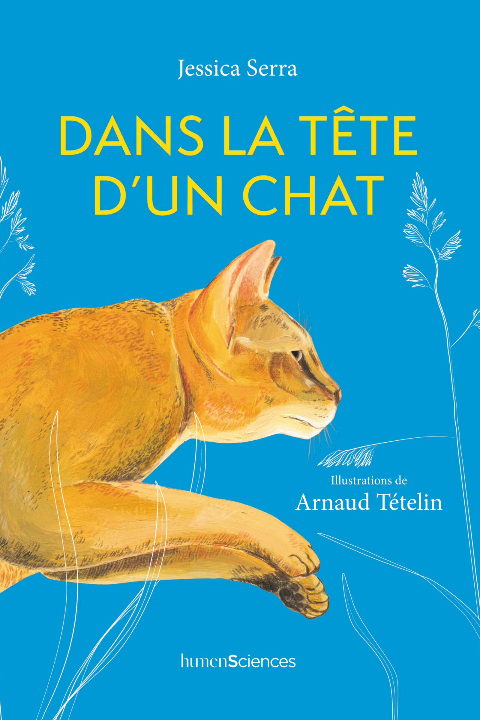 Dans la tête d'un chat ed