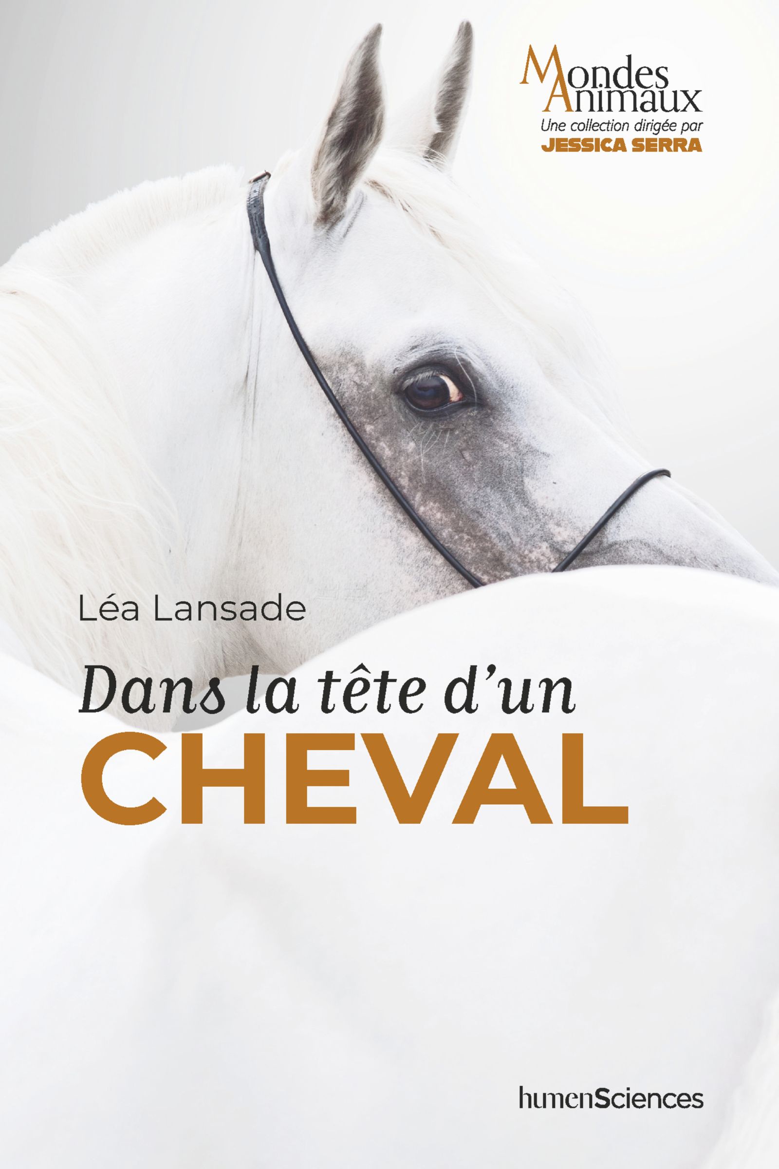 Dans la tête d'un cheval