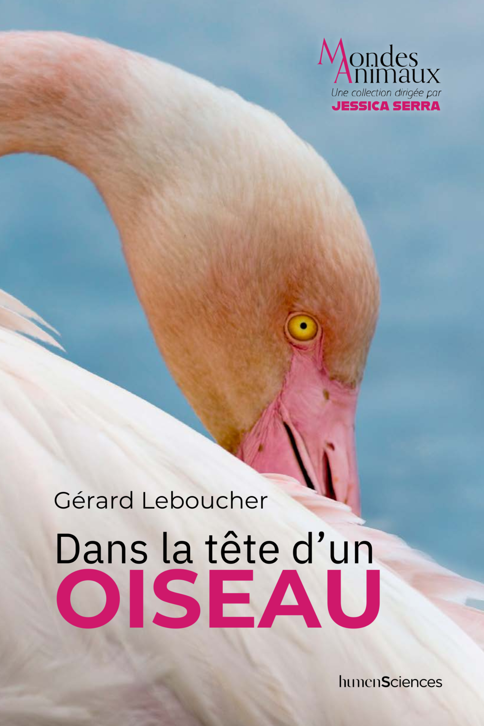 Dans la tête d'un oiseau