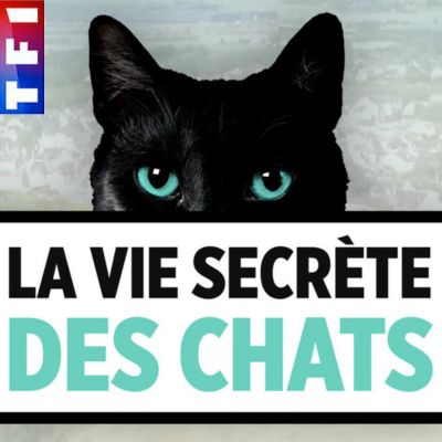 La vie secrète des chats_TF1