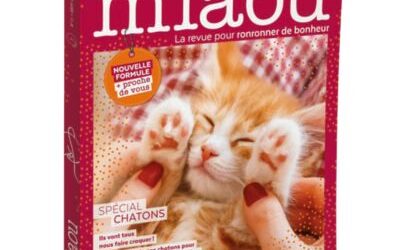 Entretien dans la tête d’un chat avec Jessica Serra, l’éthologue qui perce les secrets de nos félins.