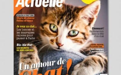 Entretien avec Jessica Serra : Immersion dans la tête d&rsquo;un chat.