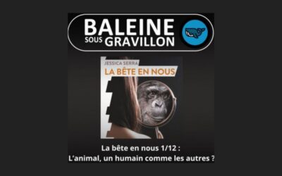 S03E68 : L&rsquo;animal est-il un humain comme les autres ?