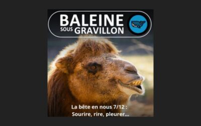 S03E74 : Sourire, rire, pleurer