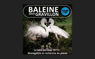 S03E77 : La monogamie et la recherche du plaisir