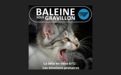 S03EP73 : Les émotions primaires