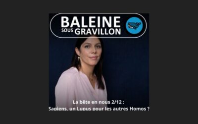 S03E69 : Sapiens, un Lupus pour les autres Homos ?