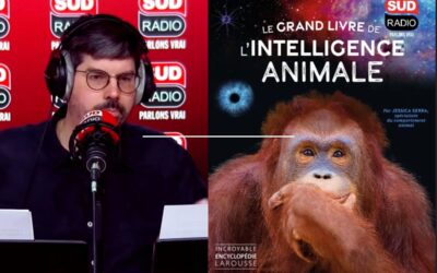 Les animaux sont-ils intelligents ?