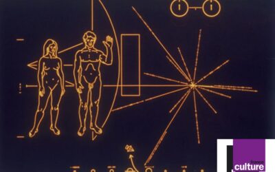 Épisode 4/4 / Homo sapiens s’est-il auto-domestiqué ?