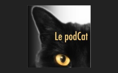 Les chats nous aiment-ils ?
